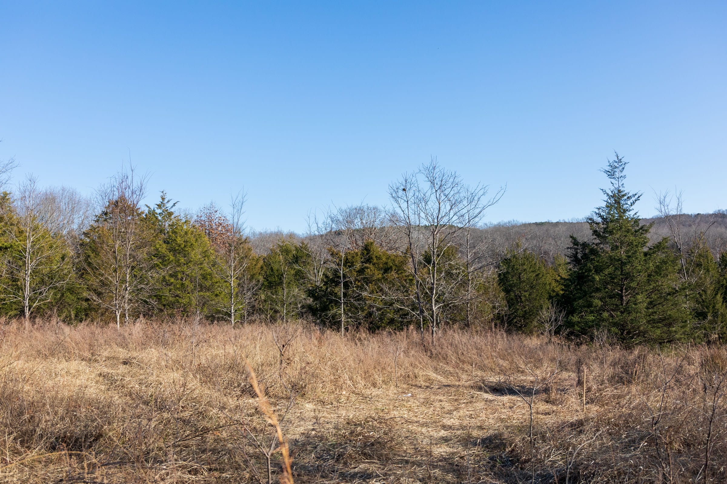 Crossroads Tract 13 photo 5
