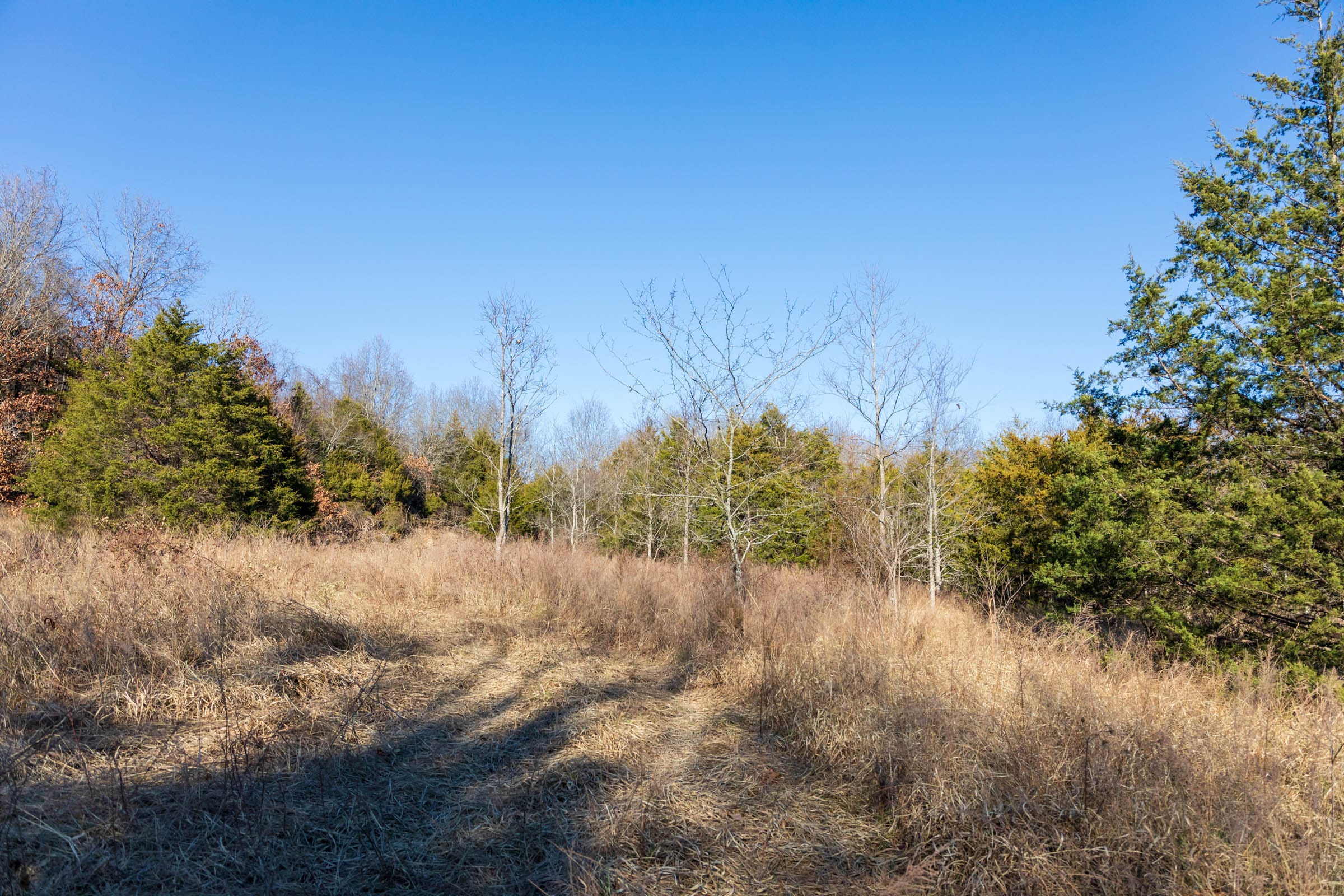 Crossroads Tract 13 photo 6