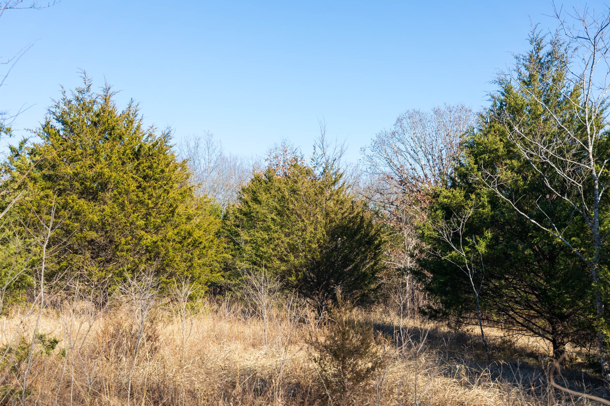 Crossroads Tract 13 photo 7
