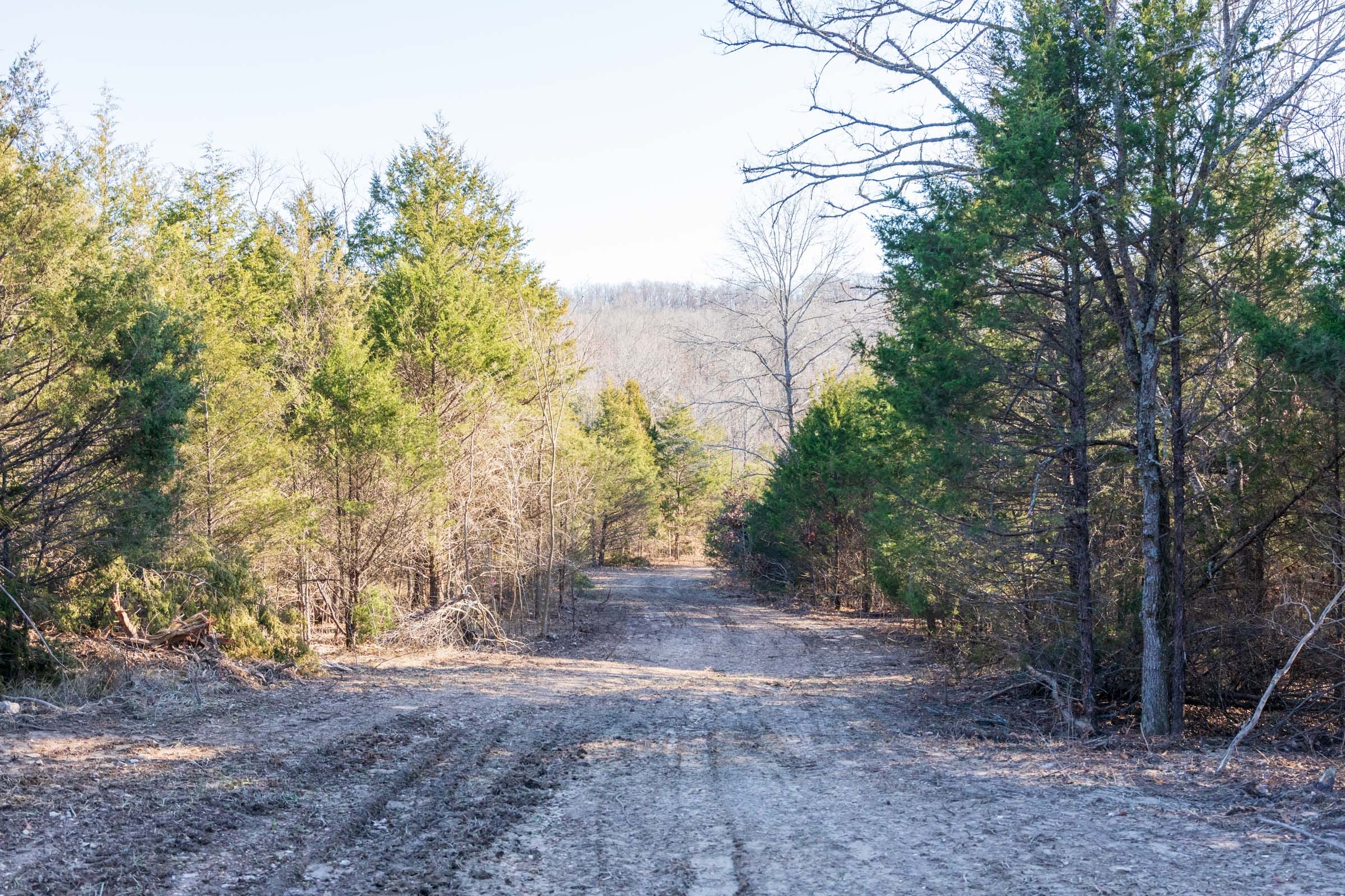 Crossroads Tract 13 photo 8