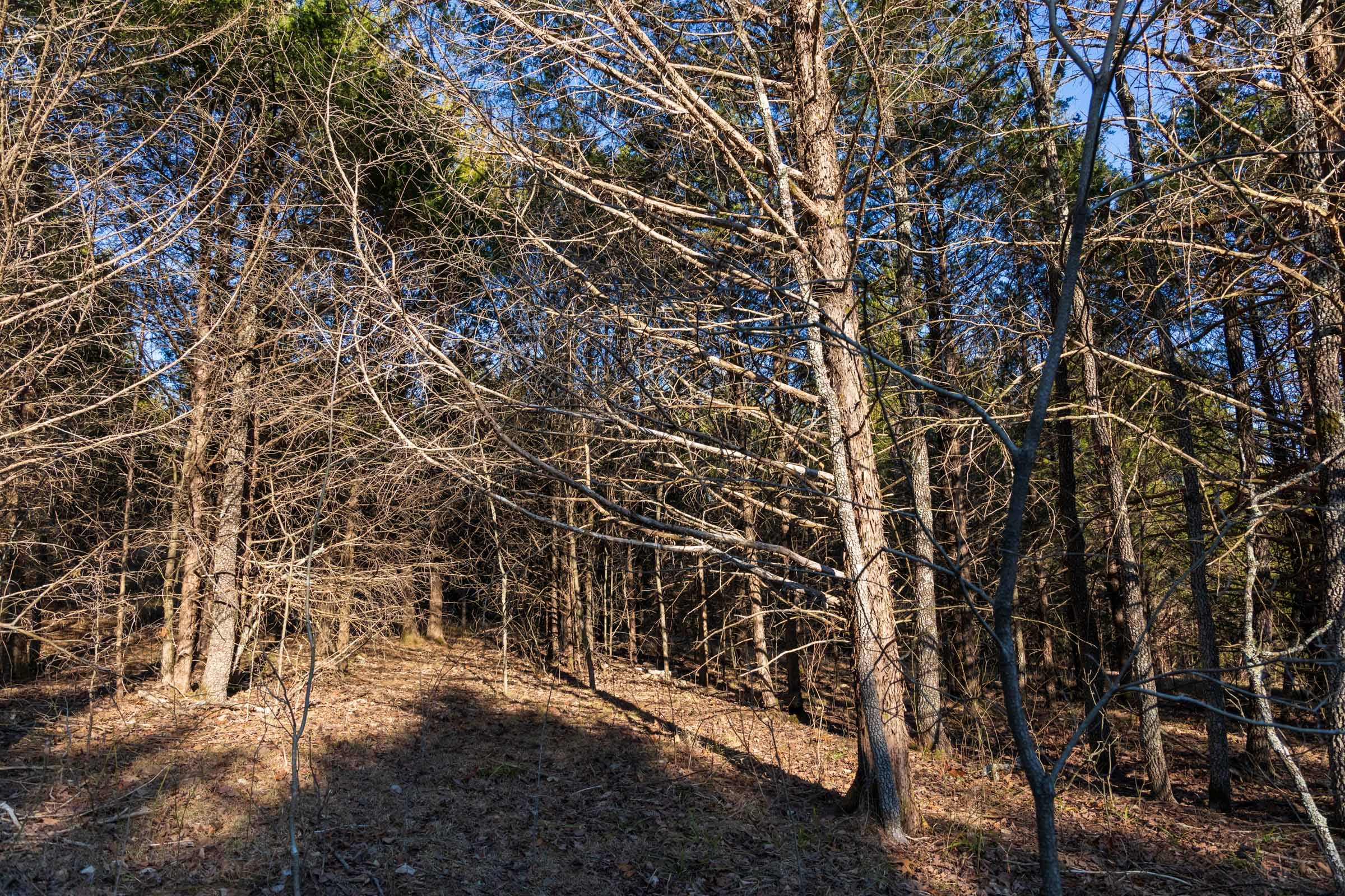 Crossroads Tract 13 photo 10