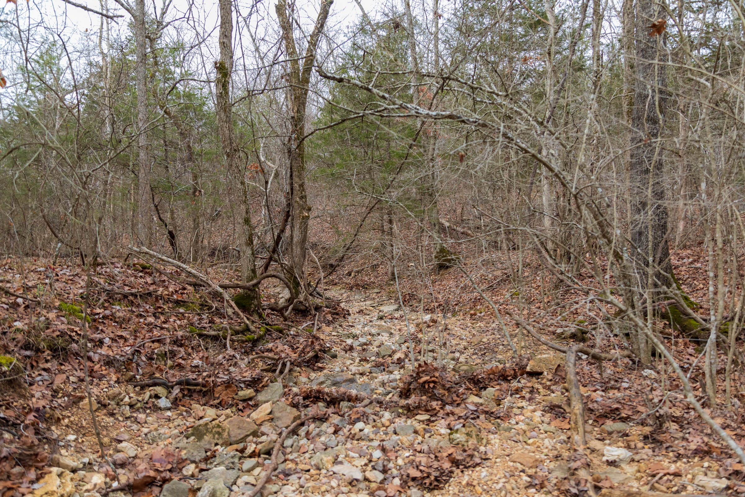 Crossroads Tract 13 photo 11