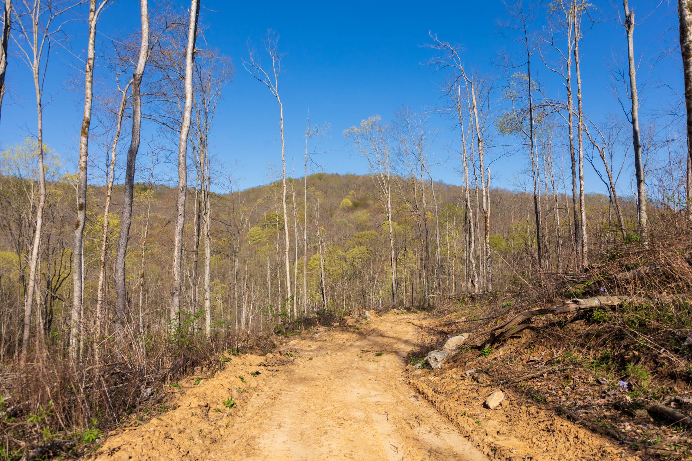 Creek Hollow Phase I Tract 35 photo 4