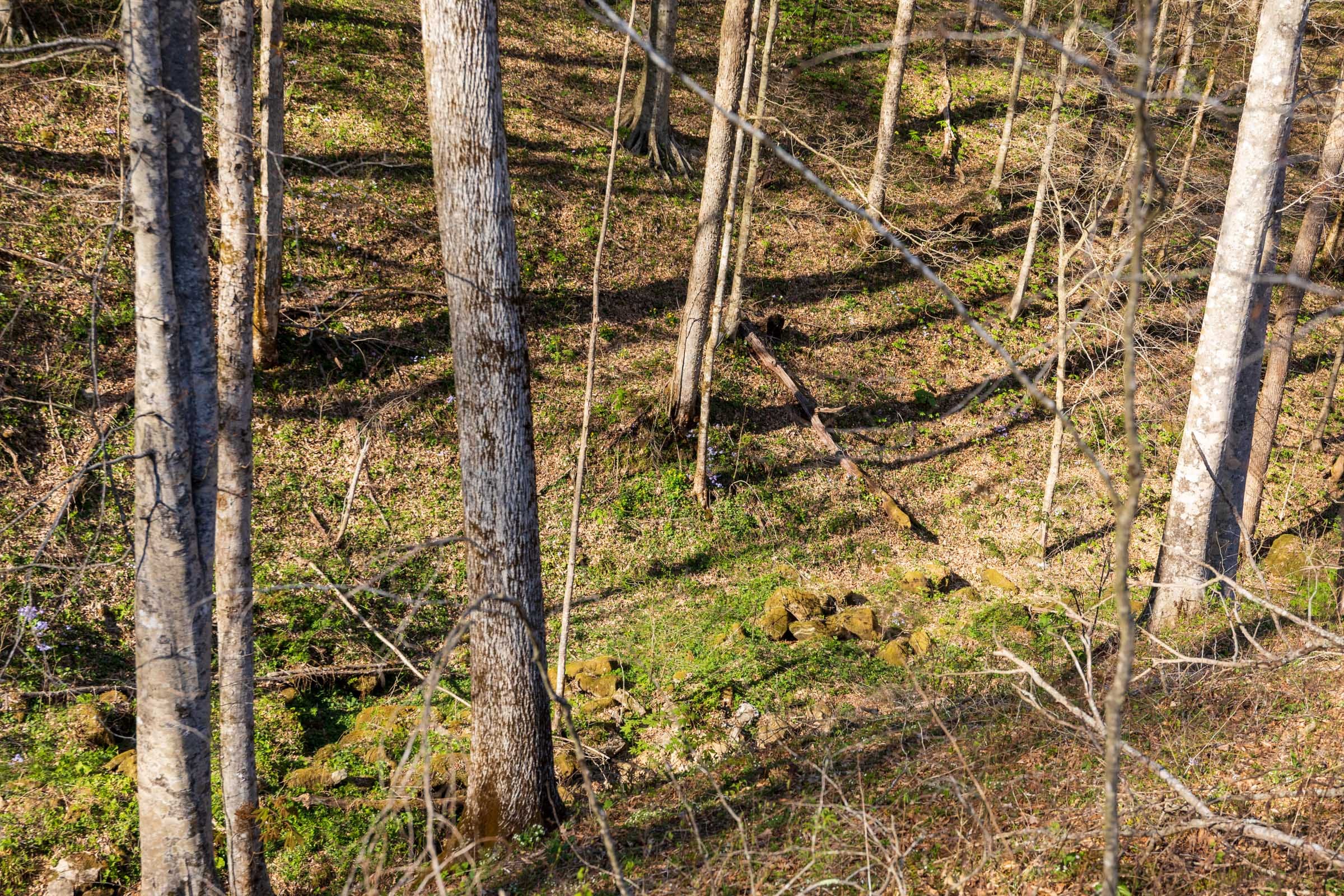 Creek Hollow Phase I Tract 35 photo 6