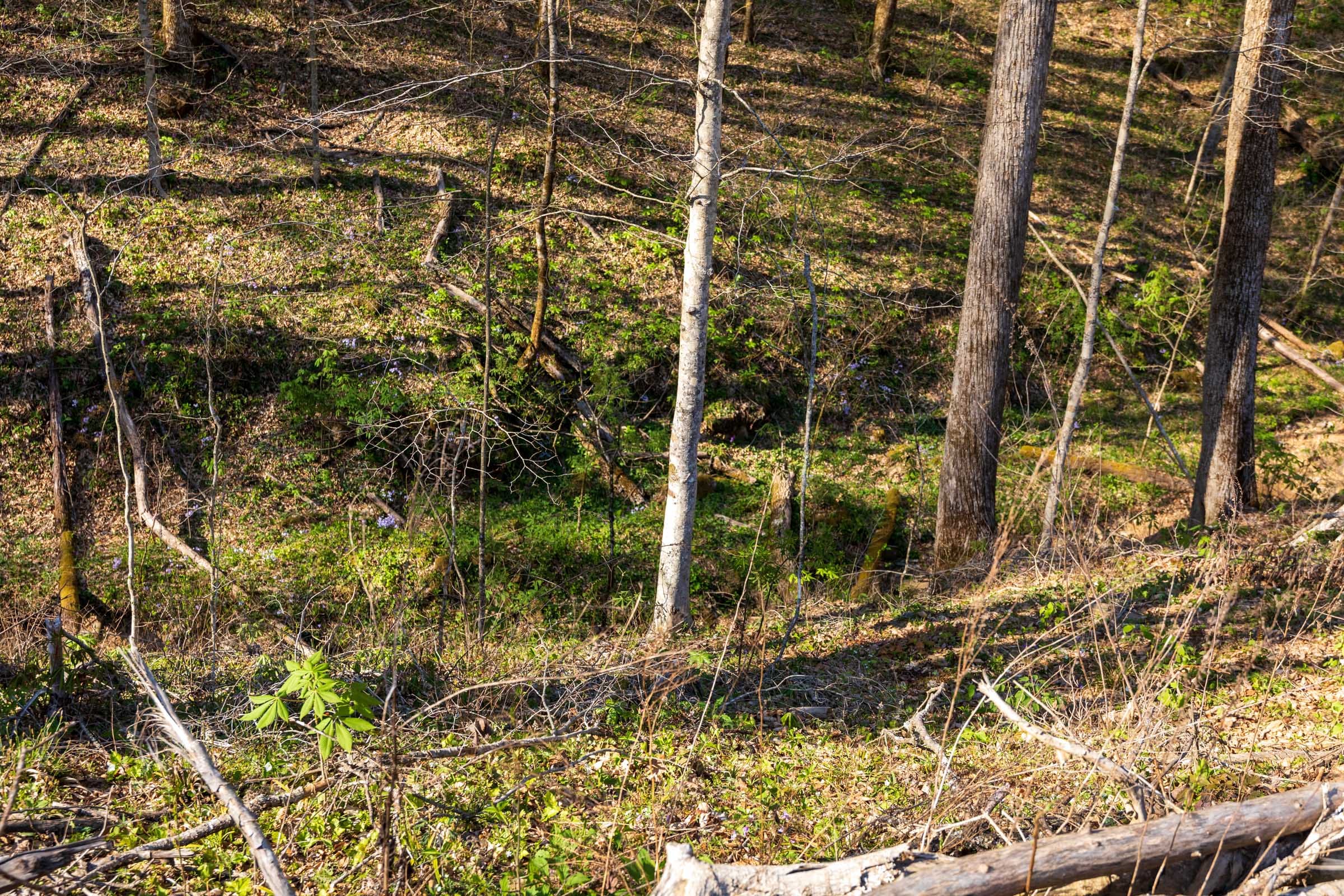 Creek Hollow Phase I Tract 35 photo 11
