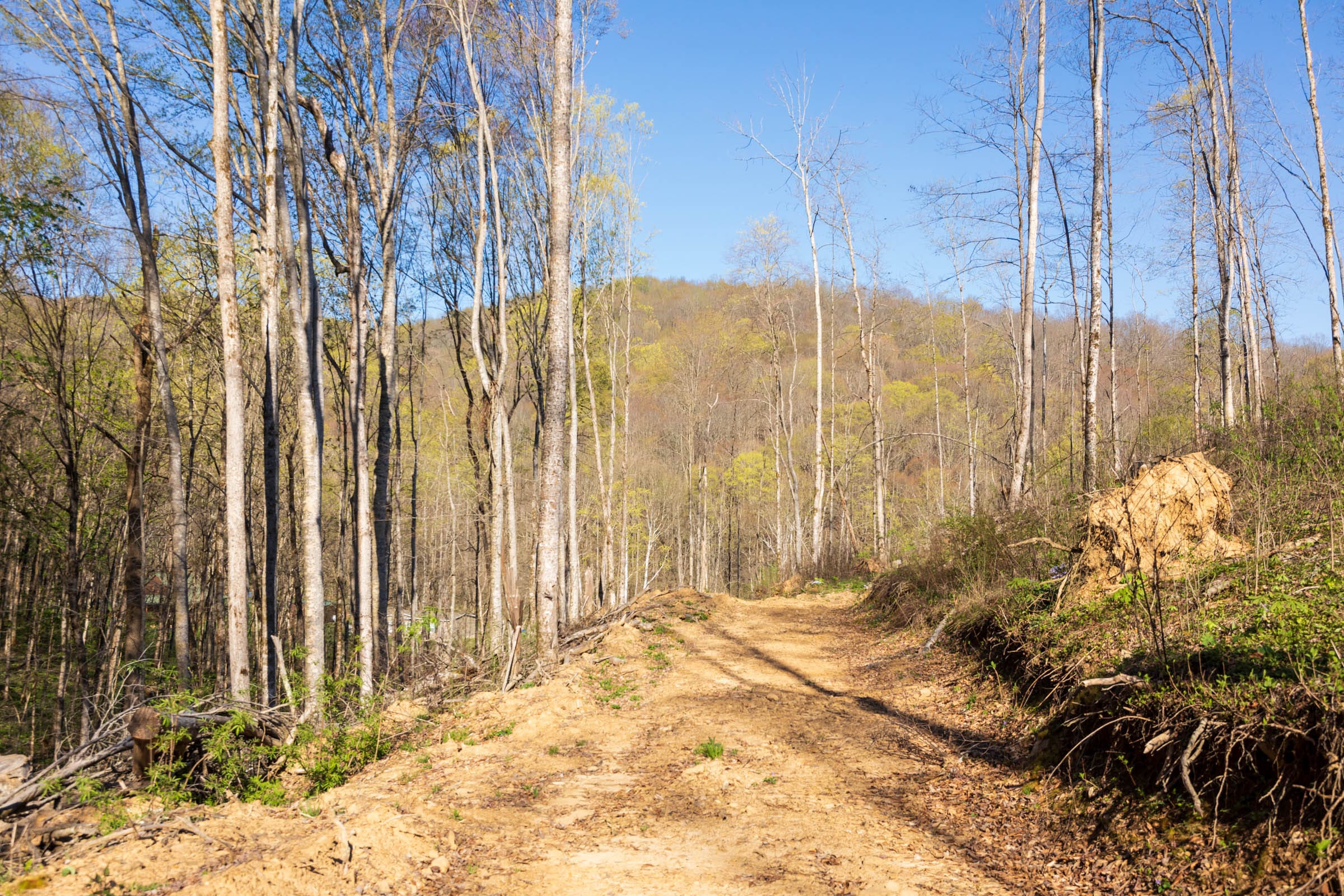 Creek Hollow Phase I Tract 35 photo 10