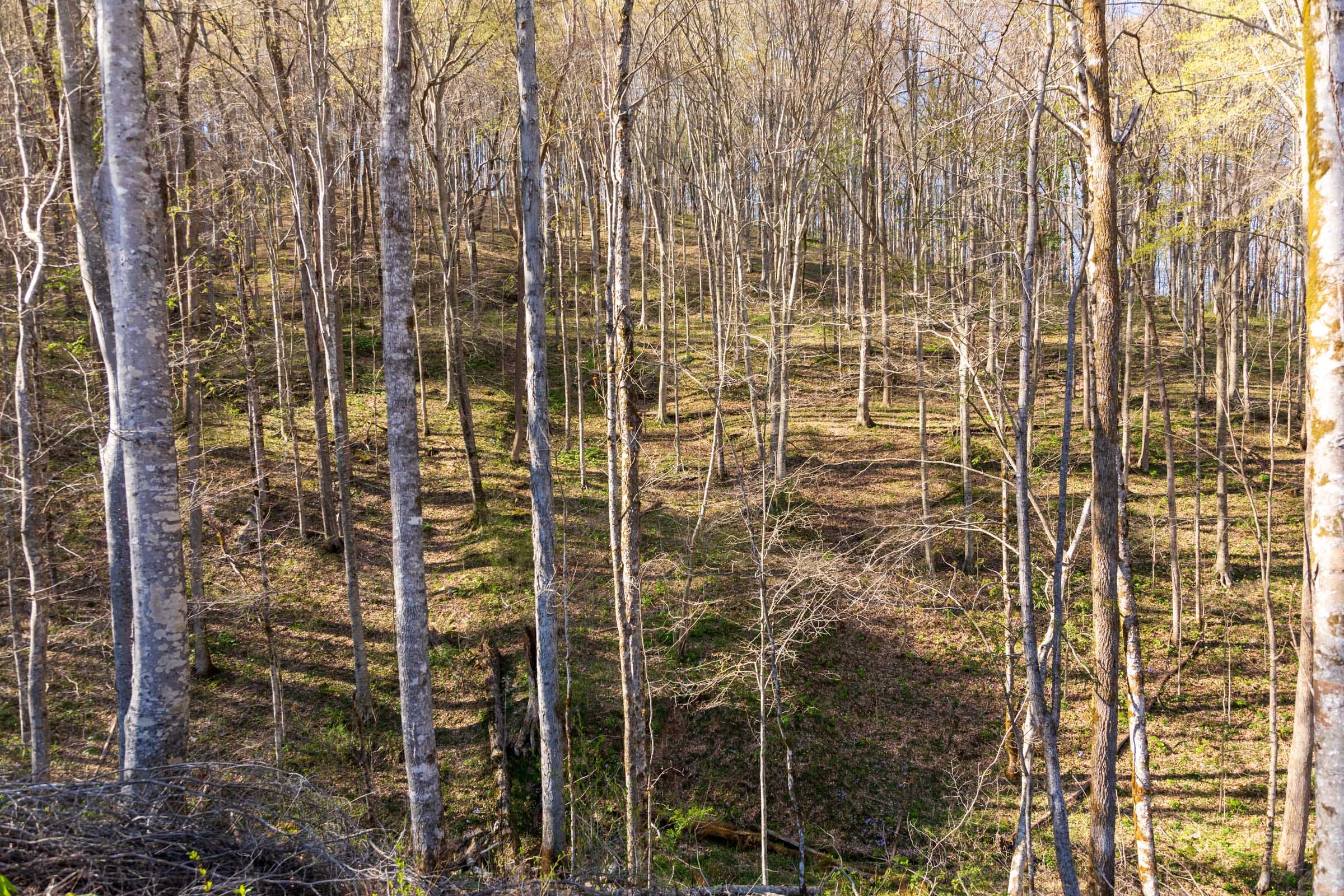 Creek Hollow Phase I Tract 35 photo 14