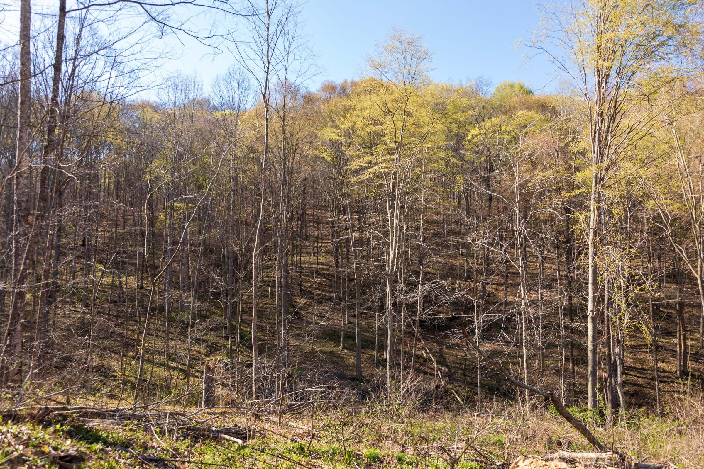 Creek Hollow Phase I Tract 35 photo 15