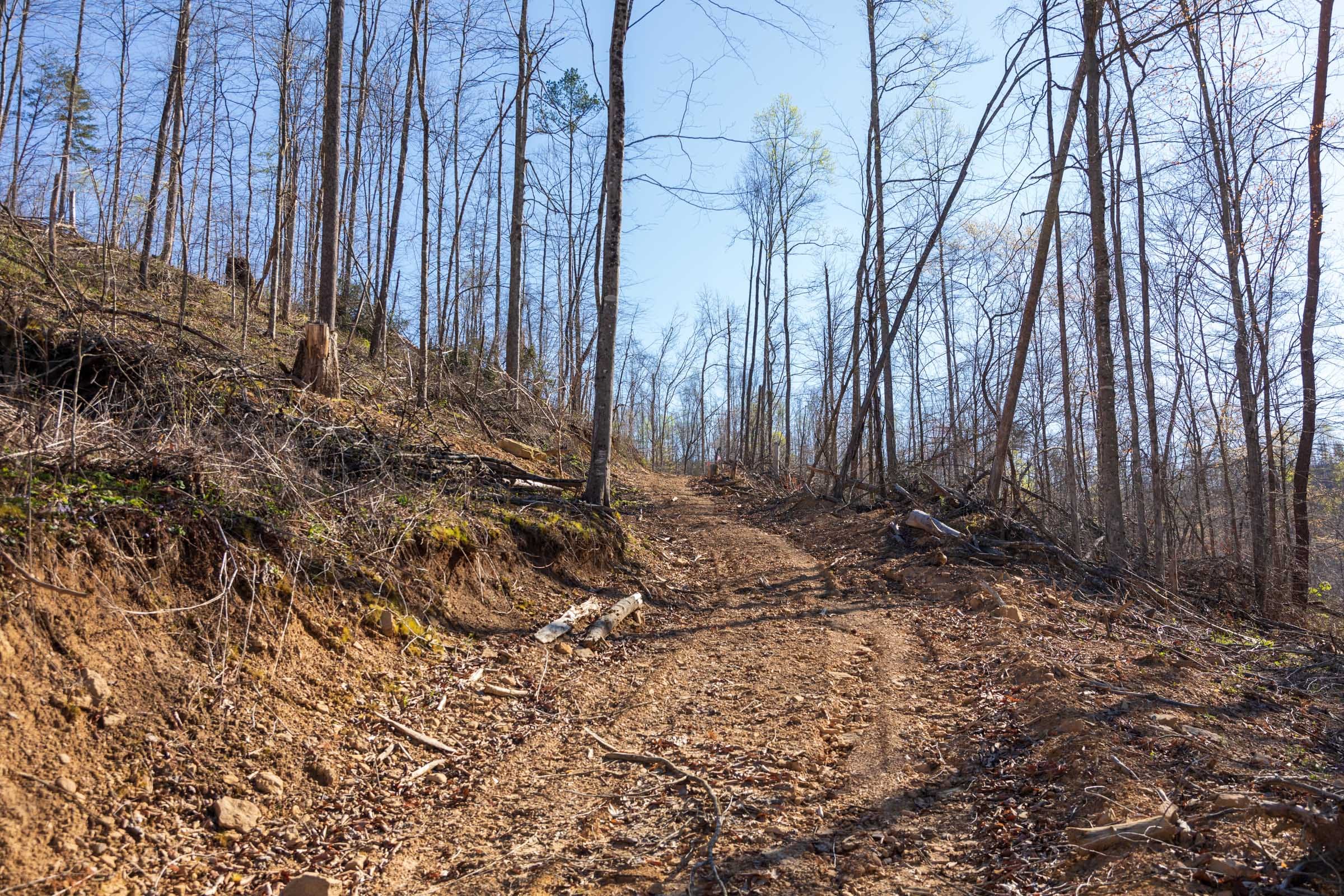 Creek Hollow Phase I Tract 35 photo 1