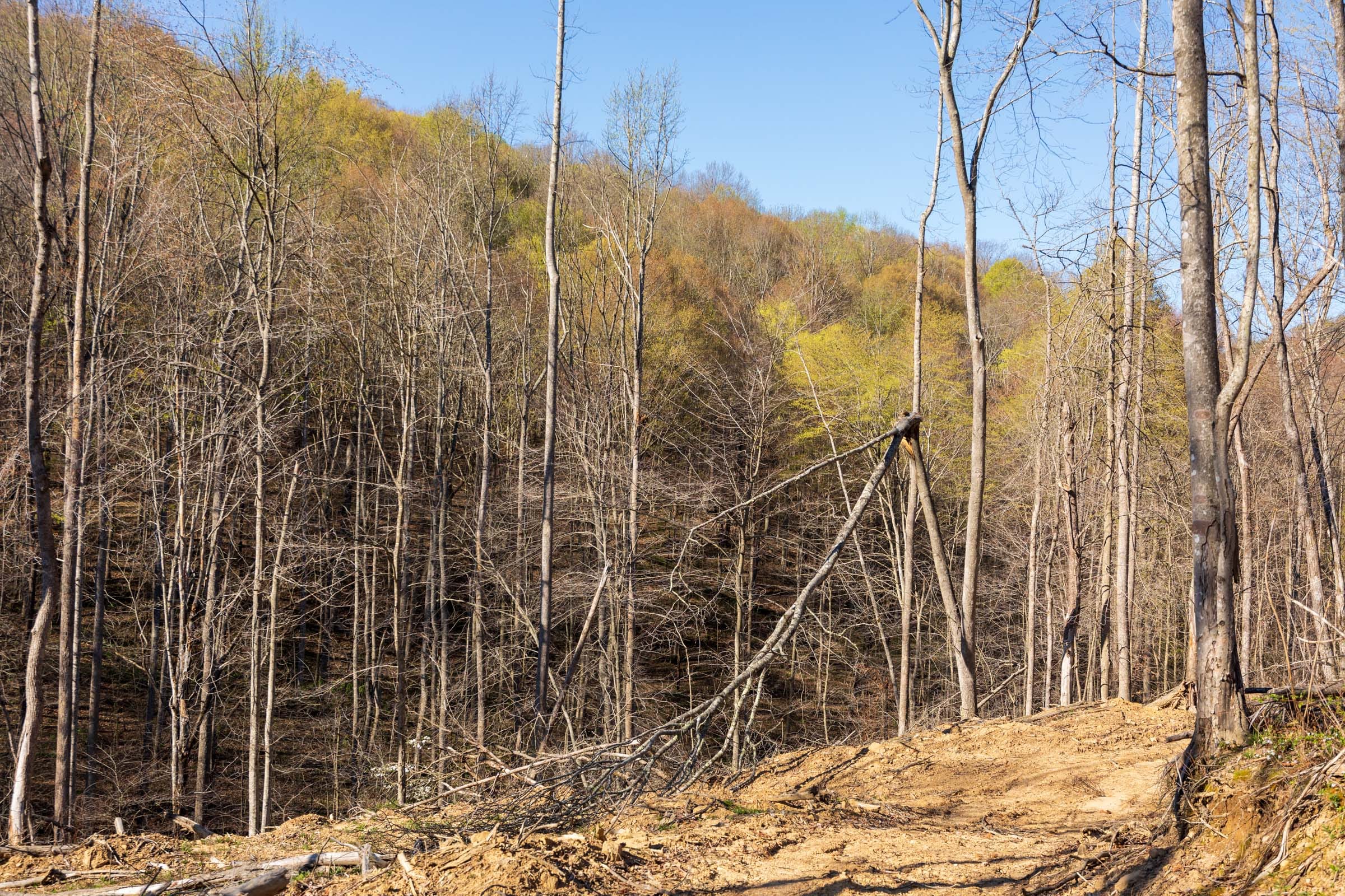 Creek Hollow Phase I Tract 35 photo 13