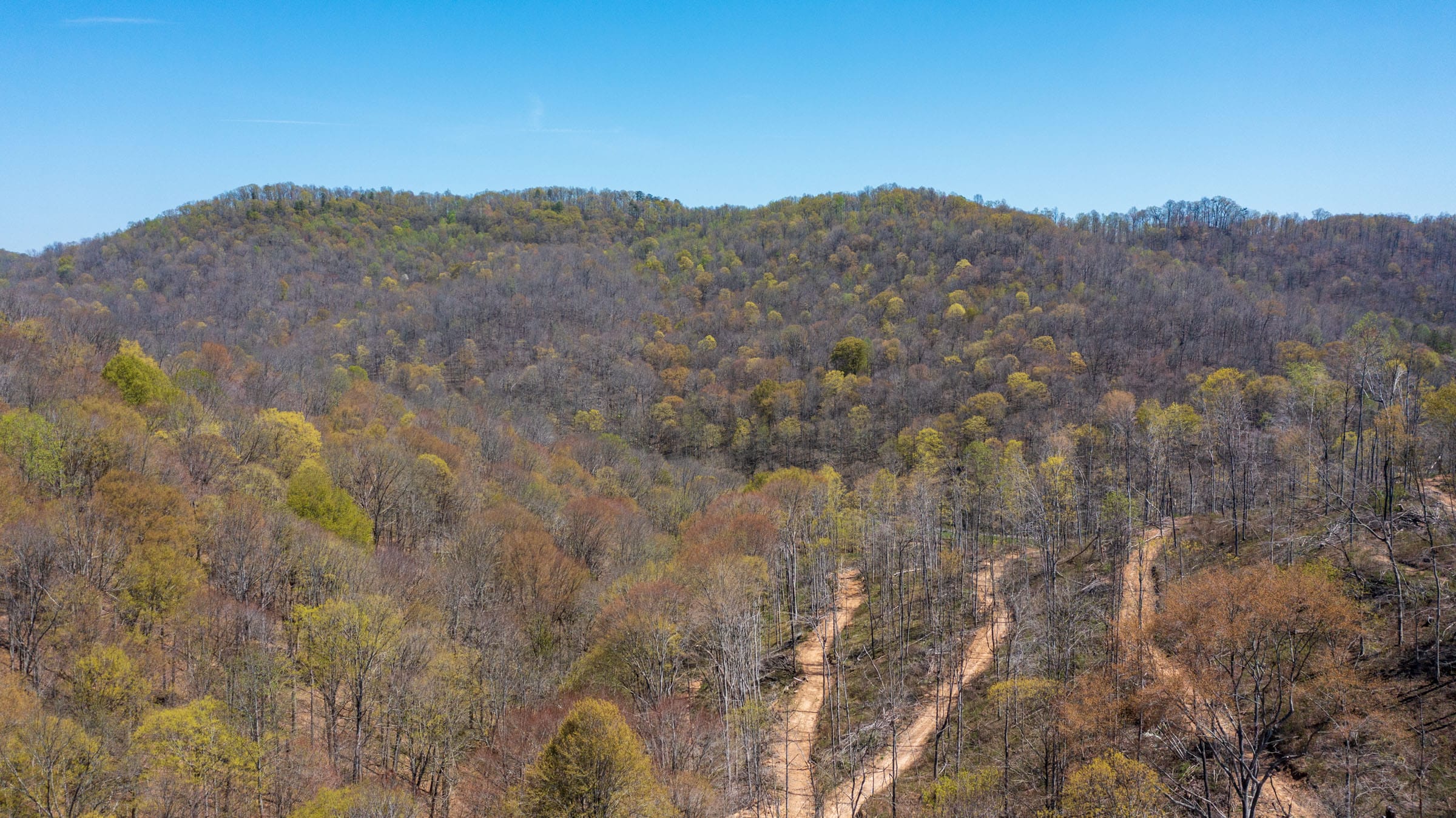 Creek Hollow Phase I Tract 35 photo 17