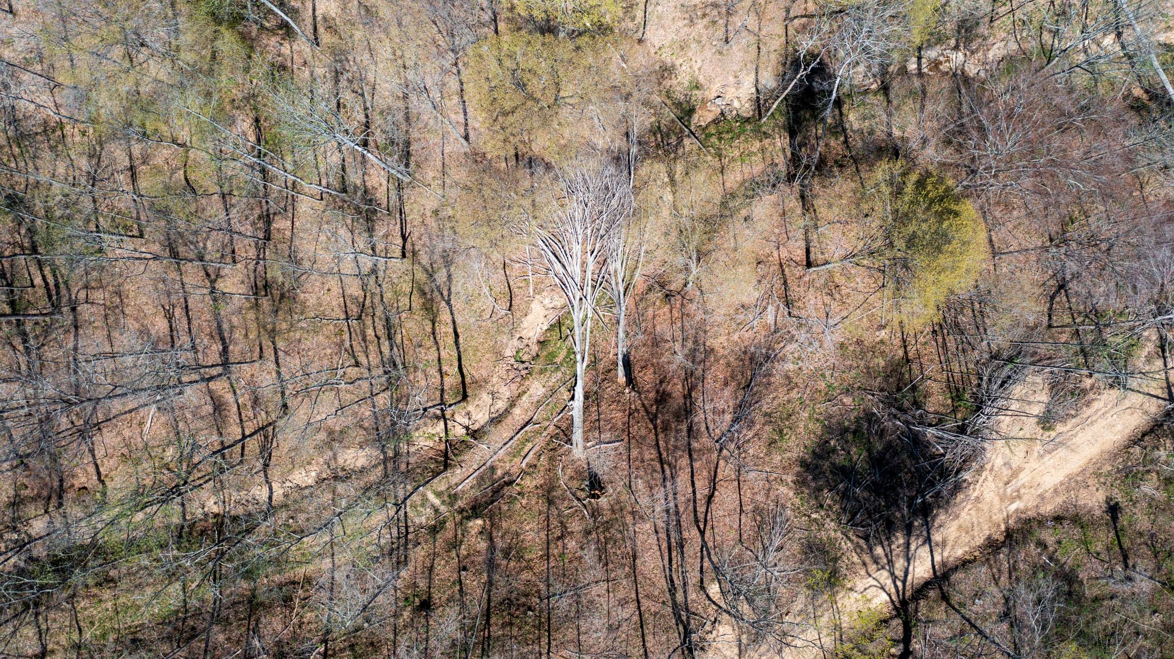 Creek Hollow Phase I Tract 35 photo 18