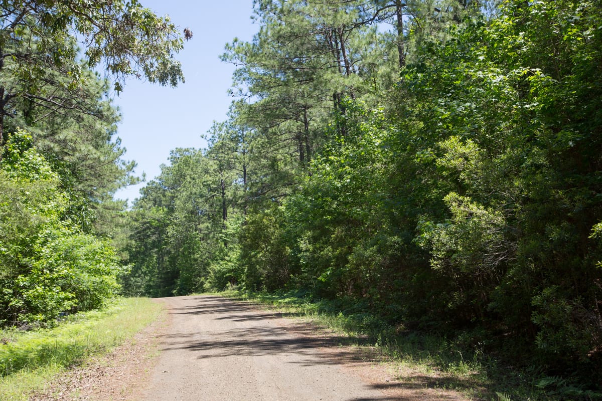 Rayburn Country Tract 22 photo 2