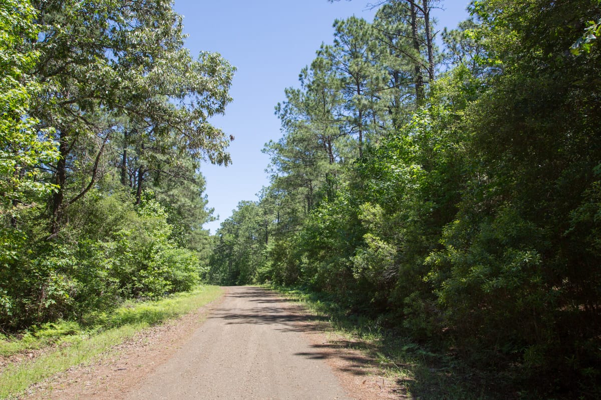 Rayburn Country Tract 22 photo 3