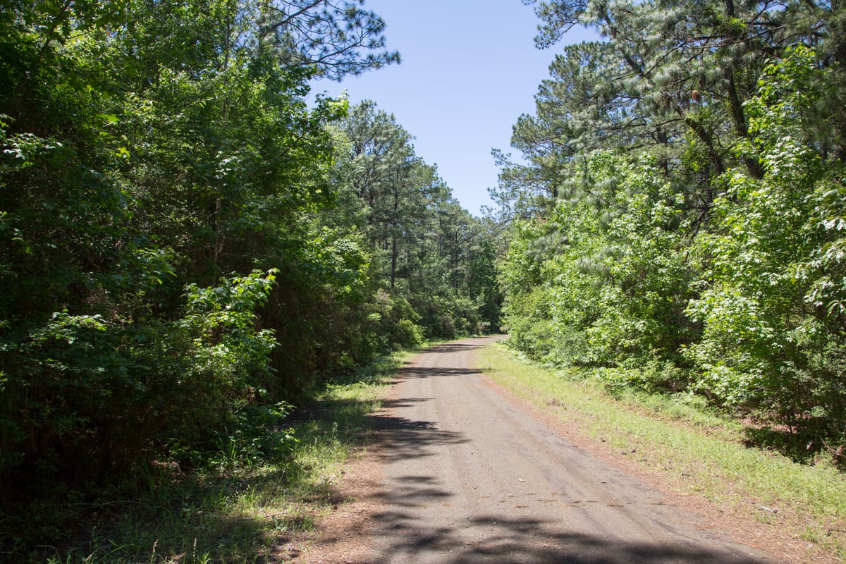Rayburn Country Tract 22 photo 4