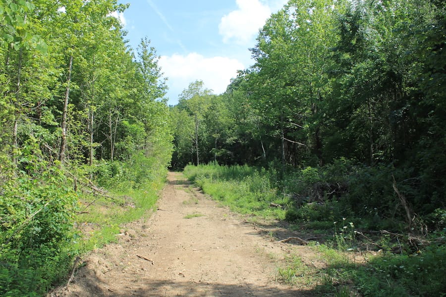 Cumberland Ridge Ranch Tract 6 photo 2