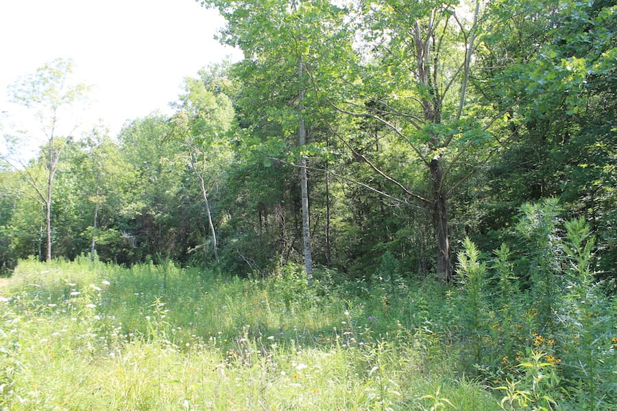 Cumberland Ridge Ranch Tract 6 photo 5