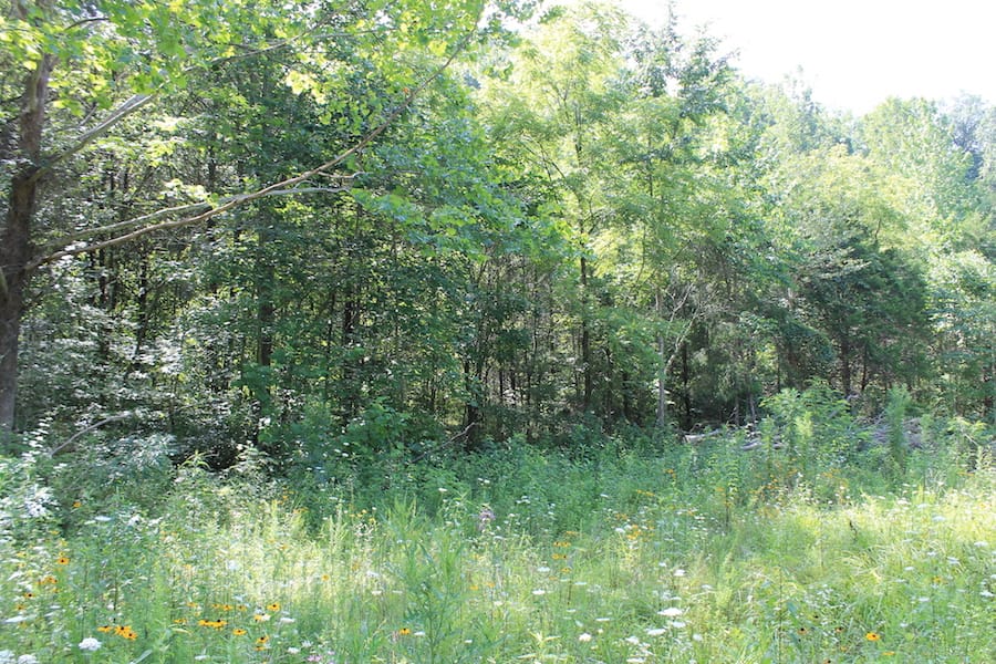 Cumberland Ridge Ranch Tract 6 photo 8
