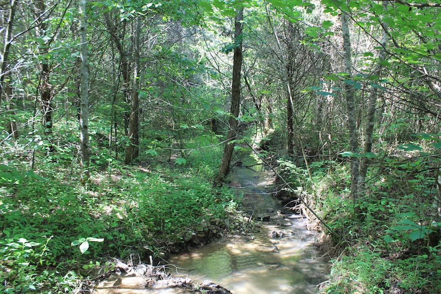 Cumberland Ridge Ranch Tract 6 photo 13