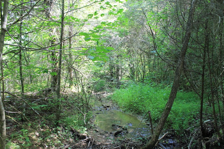 Cumberland Ridge Ranch Tract 6 photo 14