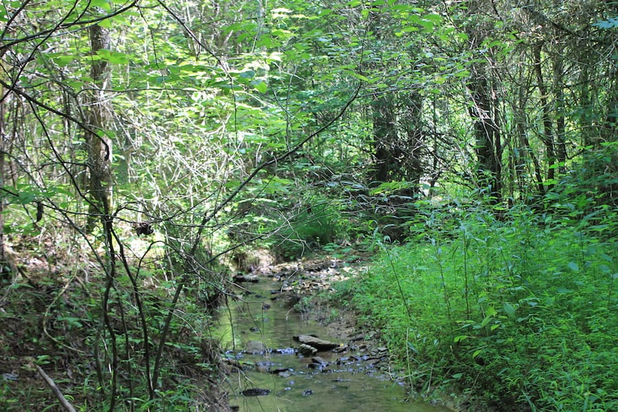 Cumberland Ridge Ranch Tract 6 photo 15