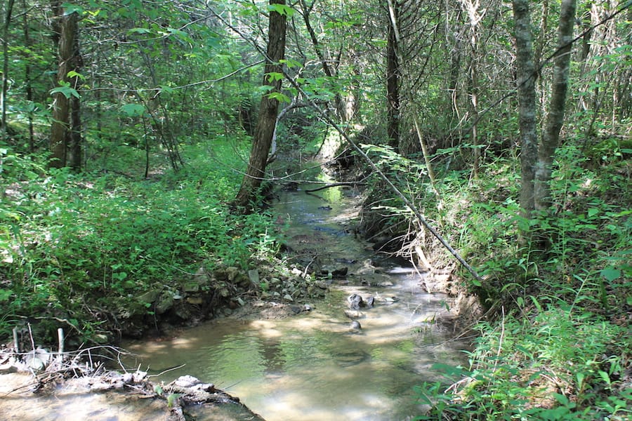 Cumberland Ridge Ranch Tract 6 photo 16