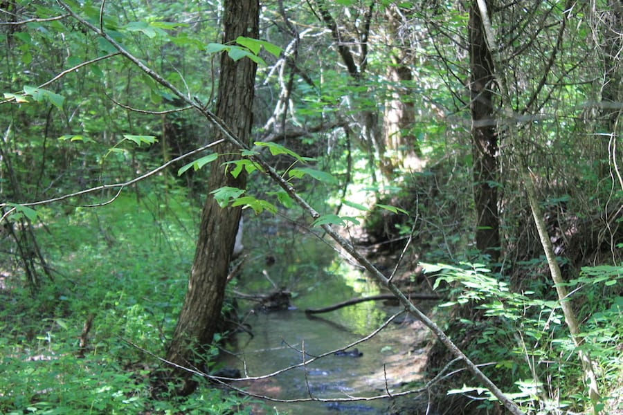 Cumberland Ridge Ranch Tract 6 photo 17