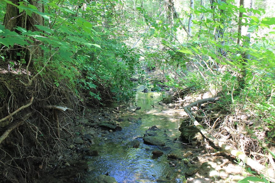Cumberland Ridge Ranch Tract 6 photo 18