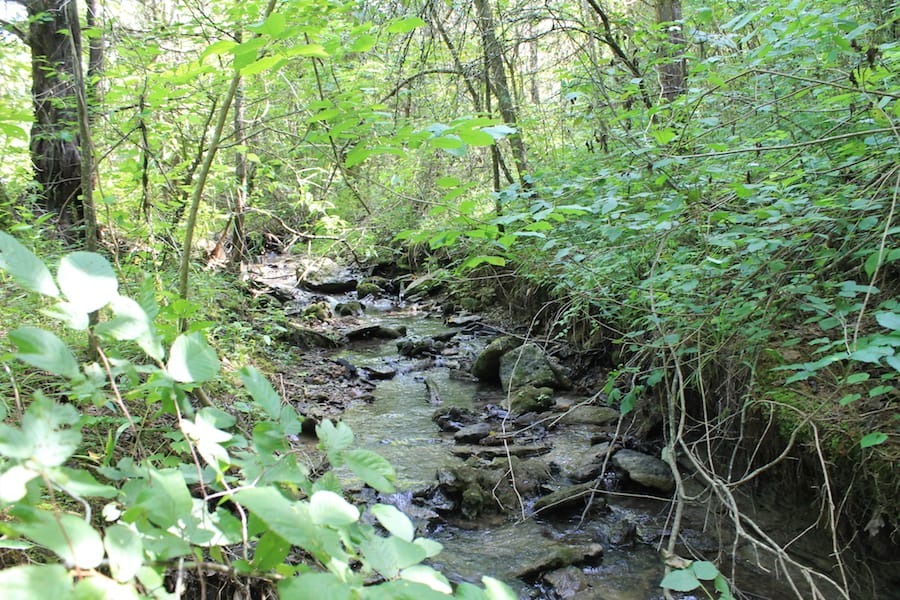 Cumberland Ridge Ranch Tract 6 photo 19