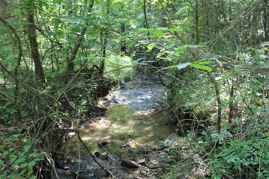 Cumberland Ridge Ranch Tract 6 photo 20