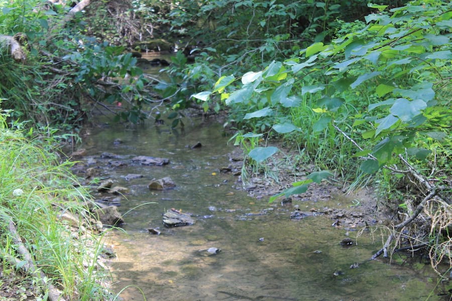 Cumberland Ridge Ranch Tract 6 photo 21