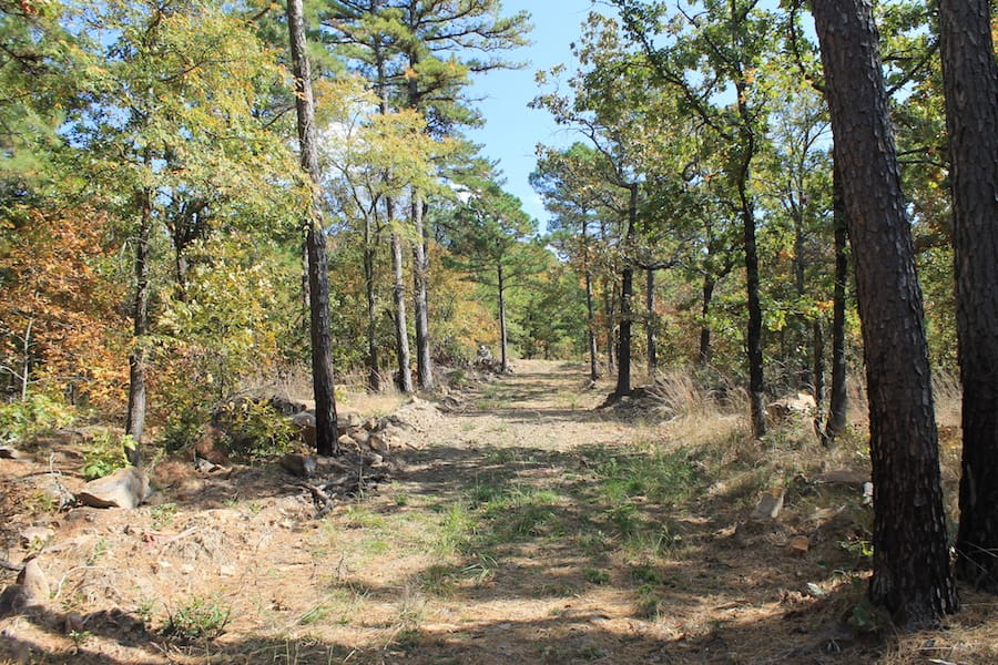 Indian Ridge – Phase III Tract 105 photo 2
