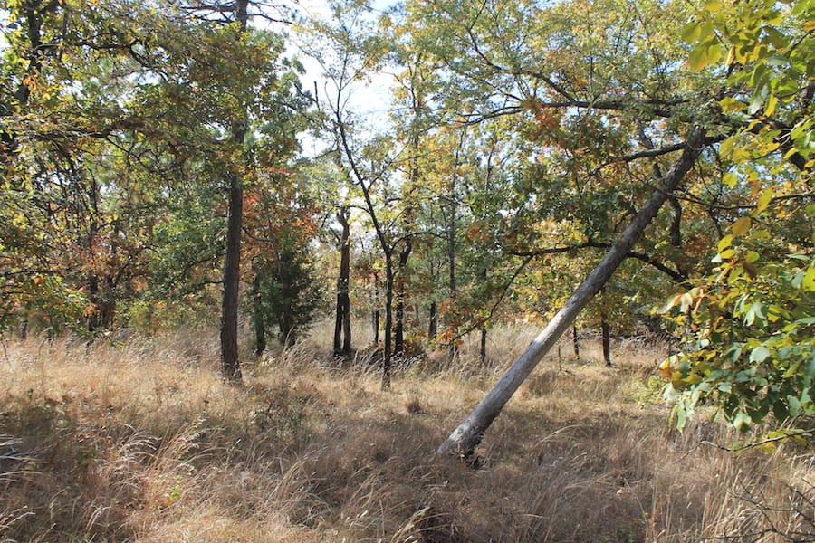 Indian Ridge – Phase III Tract 105 photo 6
