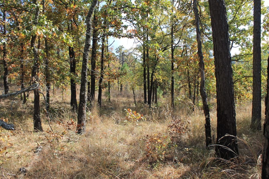 Indian Ridge – Phase III Tract 105 photo 7