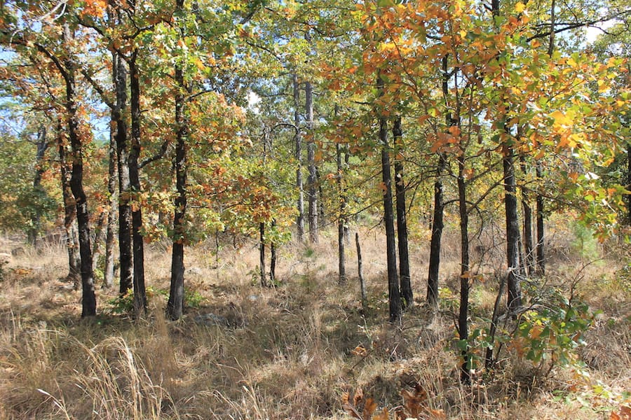 Indian Ridge – Phase III Tract 105 photo 8
