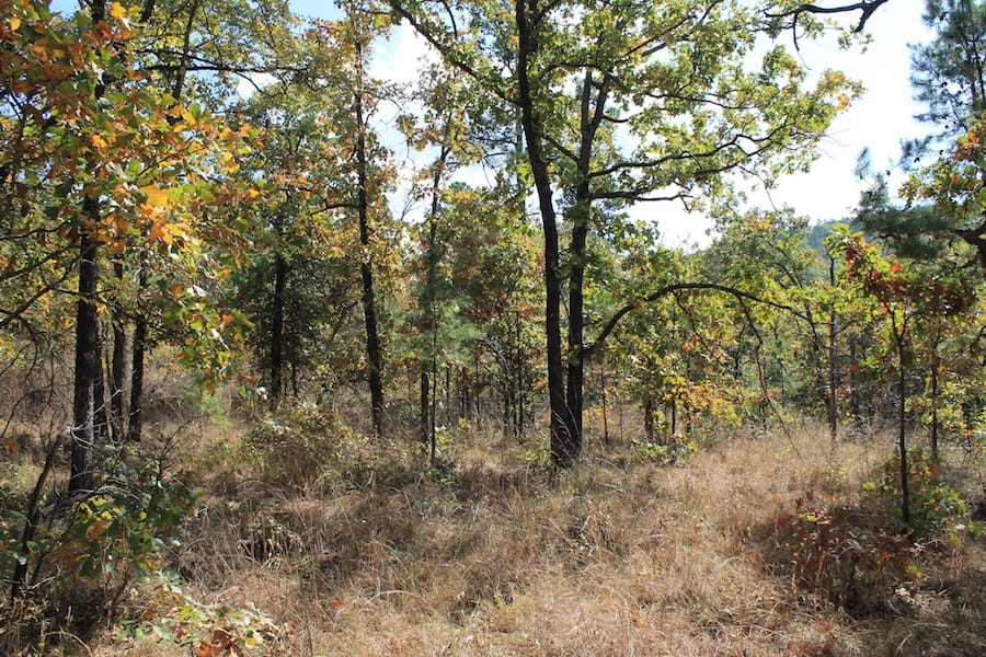 Indian Ridge – Phase III Tract 105 photo 9
