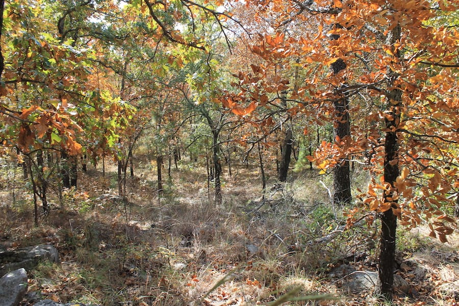 Indian Ridge – Phase III Tract 105 photo 10