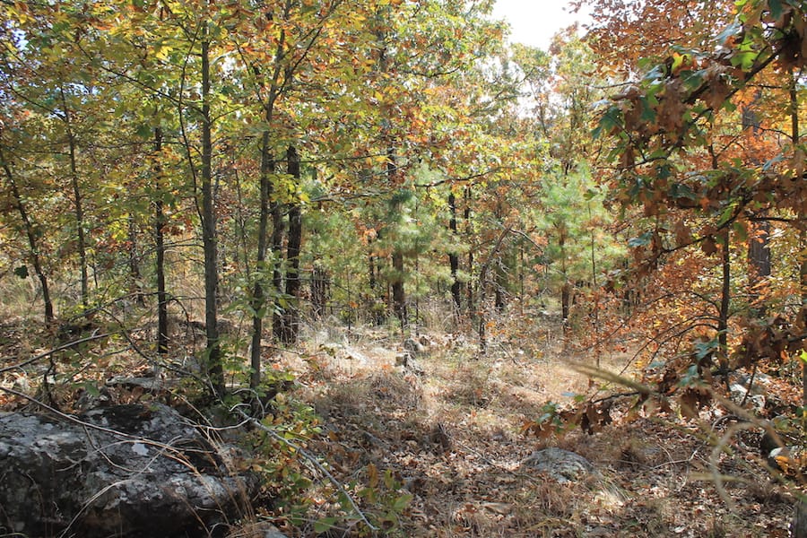 Indian Ridge – Phase III Tract 105 photo 11