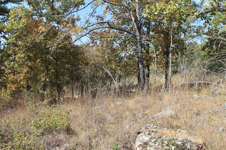 Indian Ridge – Phase III Tract 105 photo 12