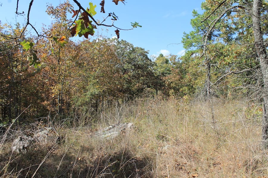 Indian Ridge – Phase III Tract 105 photo 13