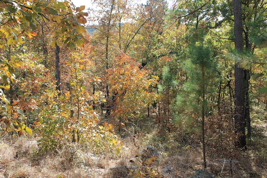 Indian Ridge – Phase III Tract 105 photo 14
