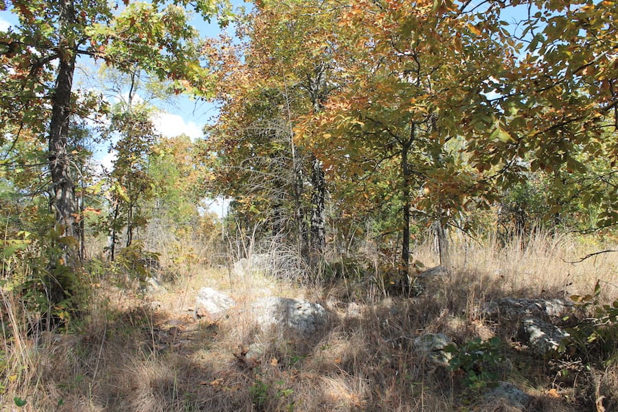 Indian Ridge – Phase III Tract 105 photo 15