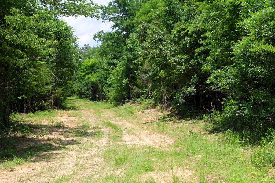 Bluebird Ranch Tract 12 photo 2