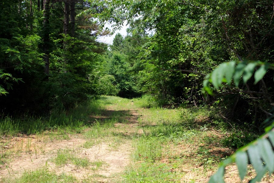 Bluebird Ranch Tract 12 photo 11