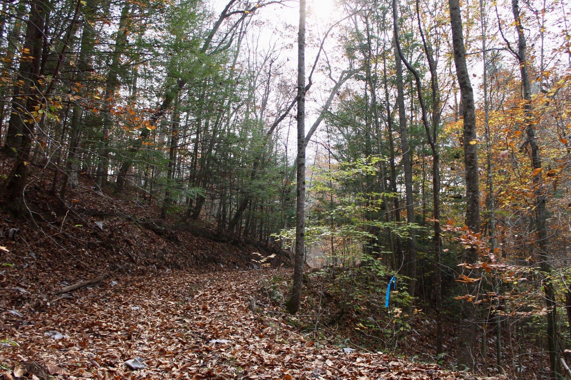 Autumn Ridge Tract 9 photo 1