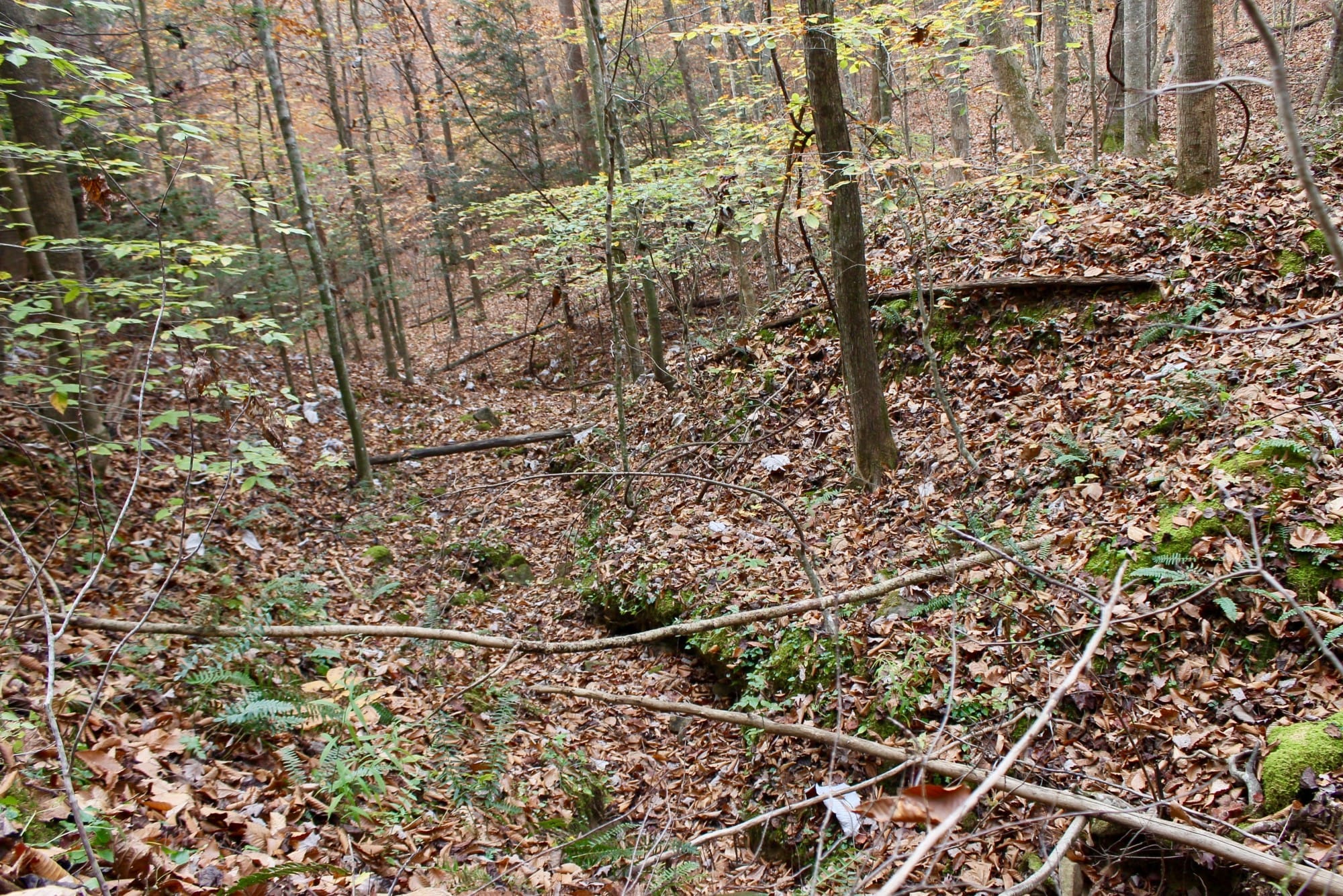 Autumn Ridge Tract 9 photo 3