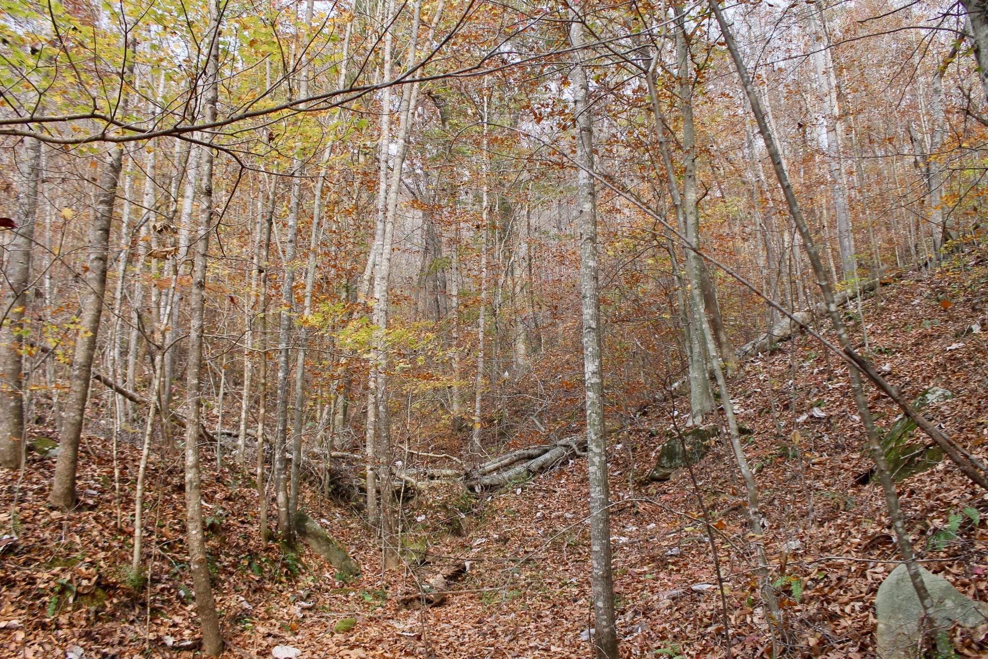 Autumn Ridge Tract 9 photo 5