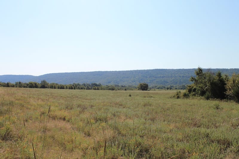 Daisy Meadows Tract 27 photo 2