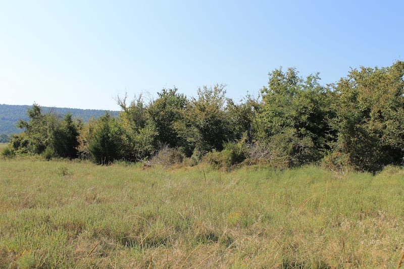 Daisy Meadows Tract 27 photo 3