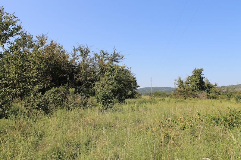 Daisy Meadows Tract 27 photo 4